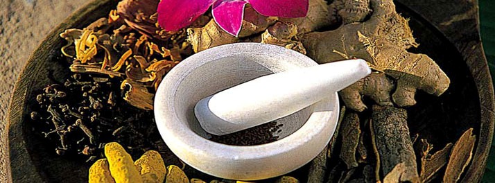 804/Le Meridien - Kochi 16.jpg